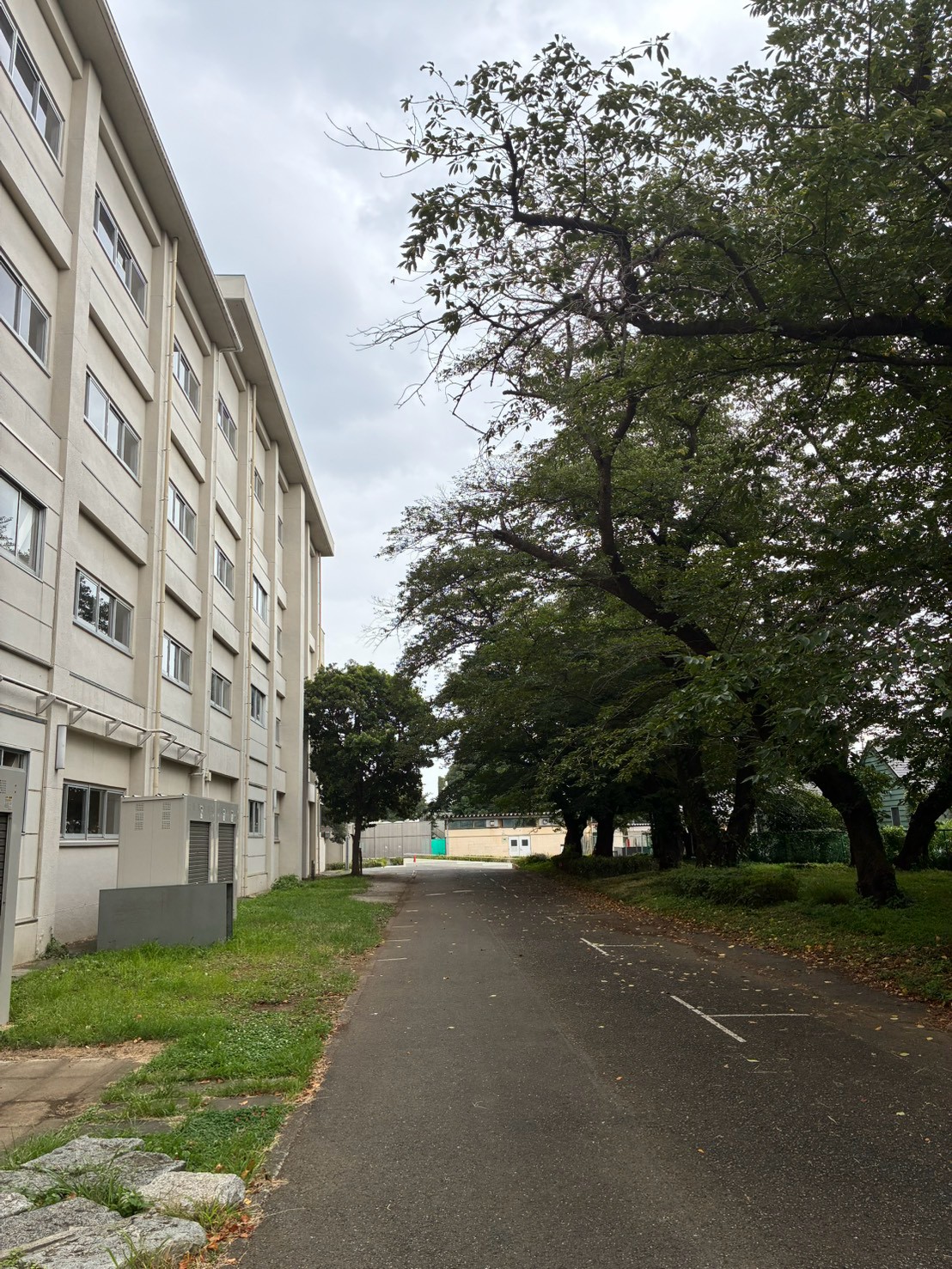 現在の横浜緑ケ丘高校 6