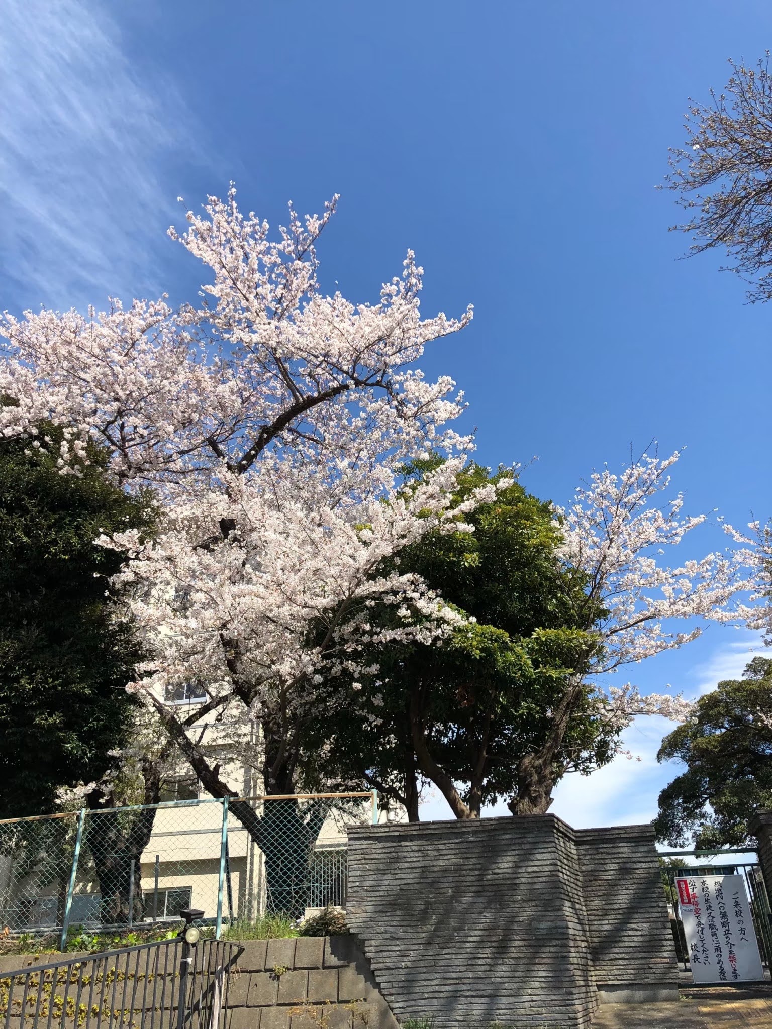 現在の横浜緑ケ丘高校 10